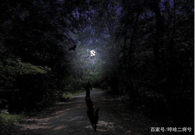 福彩夜路怎么打✅福彩夜路玩法介绍