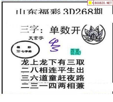 3D夜路怎么挣钱✅3d夜路怎么挣钱最快